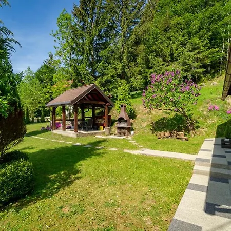 Sumska Idila Pokraj Jezera