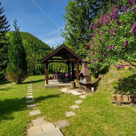 Sumska Idila Pokraj Jezera *