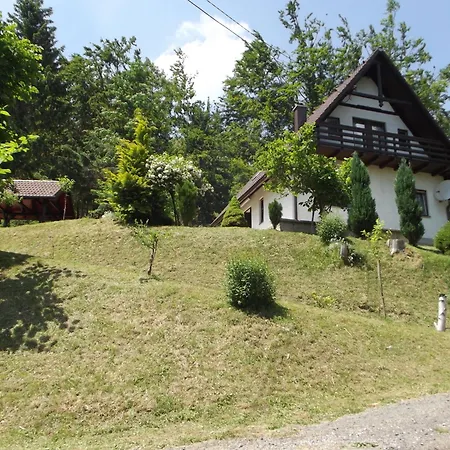 Sumska Idila Pokraj Jezera *