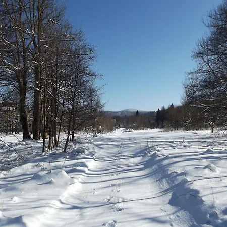 펜션 Kuca Na Osami Pokraj Jezera